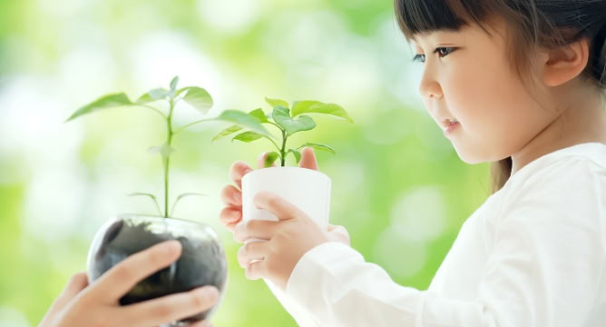 植物の苗を手にする子ども